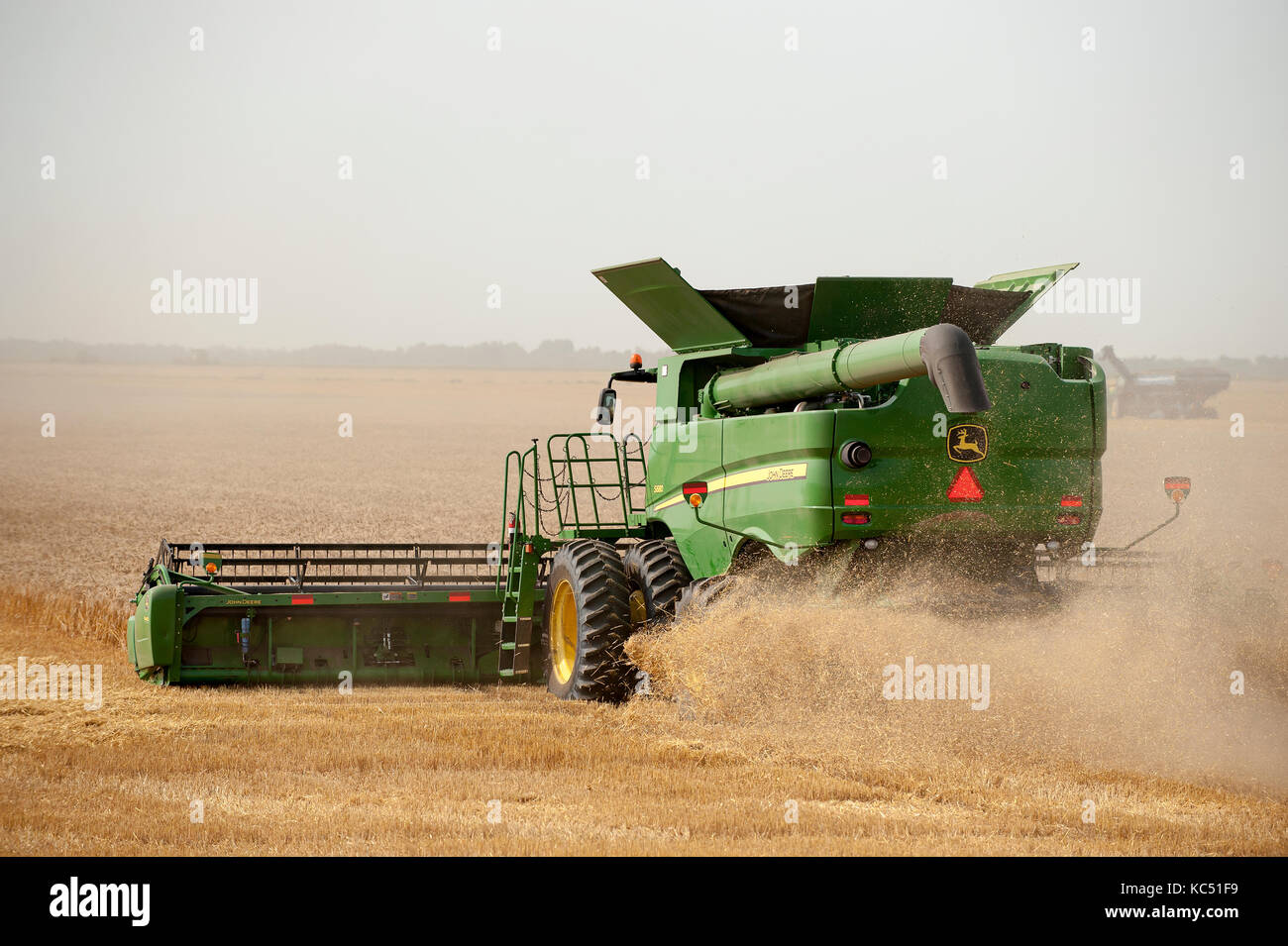 Moissonneuse-batteuse John Deere la récolte du blé à la ferme de Breckenridge, Dakota du Nord Banque D'Images