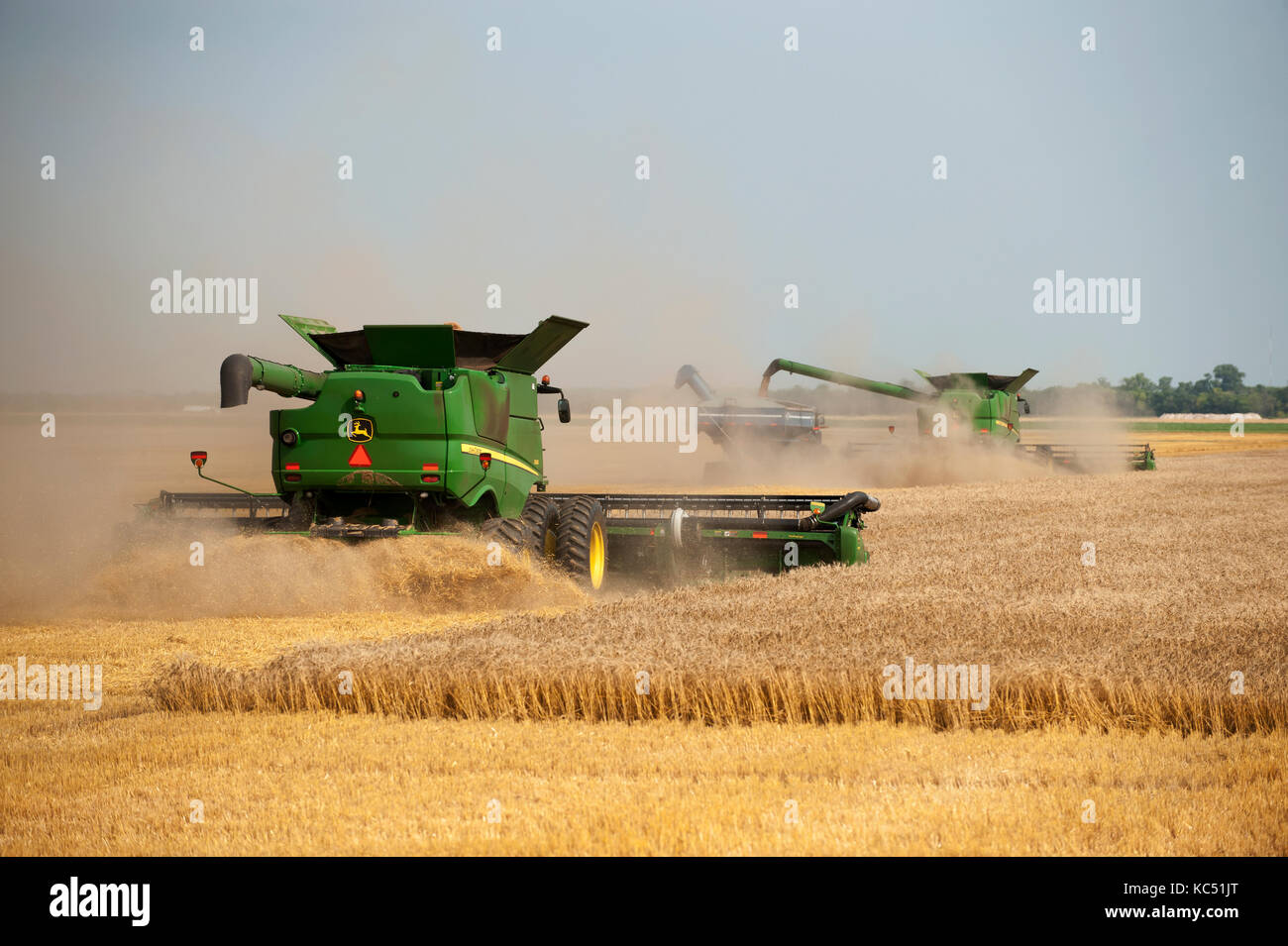 Moissonneuse-batteuse John Deere la récolte du blé à la ferme de Breckenridge, Dakota du Nord Banque D'Images