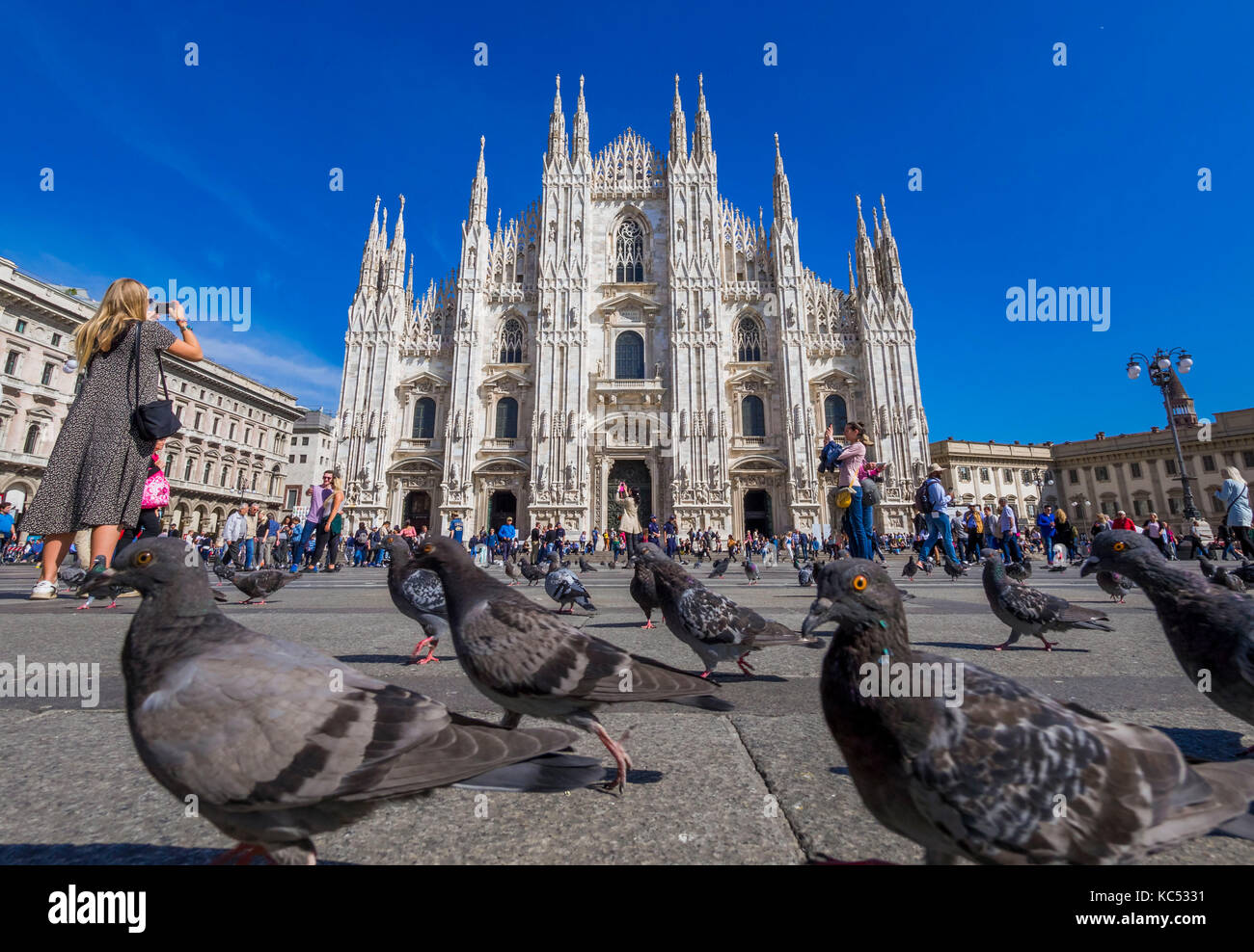 La piazza del Duomo, Milan, Milan, Lombardie, Italie, Europe Banque D'Images