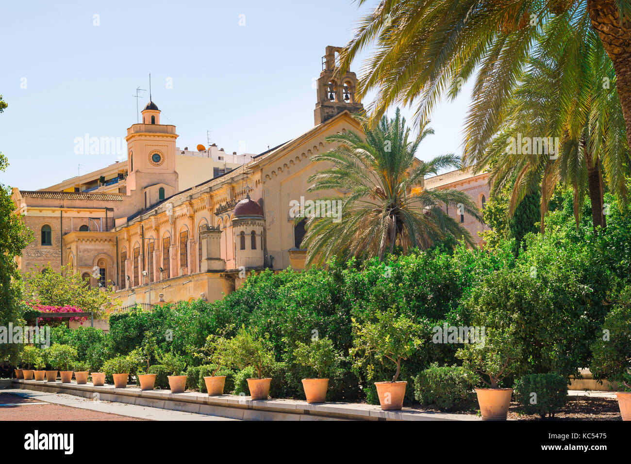 Valencia Jardín de las Hesperides, une rangée d'arbres d'agrumes et de plantes dans le jardin des Hespérides avec une grande église des Jésuites dans l'arrière-plan, l'Espagne. Banque D'Images