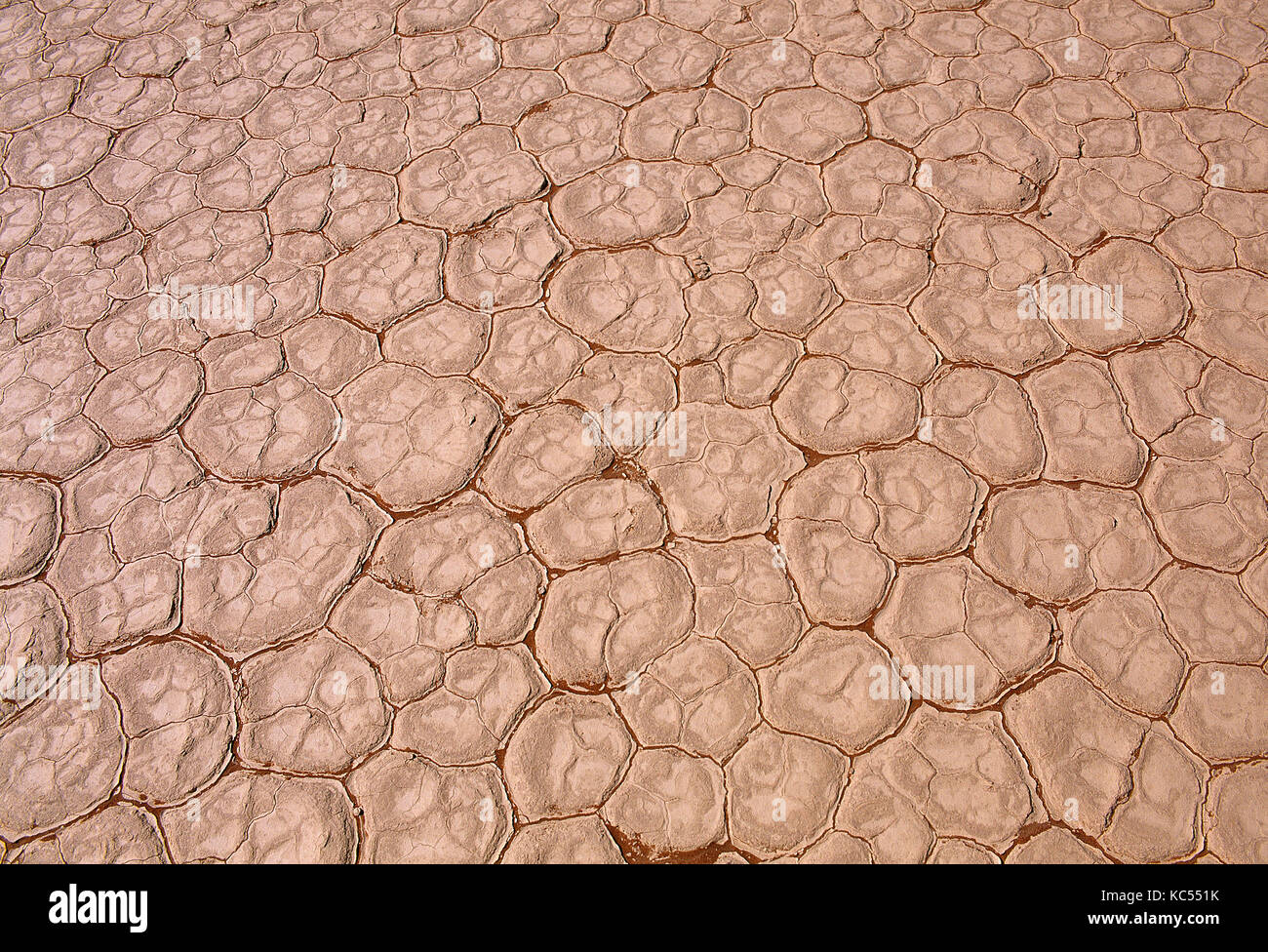 La NAMIBIE. deadvlei. paysage aride de la terre craquelée. Banque D'Images
