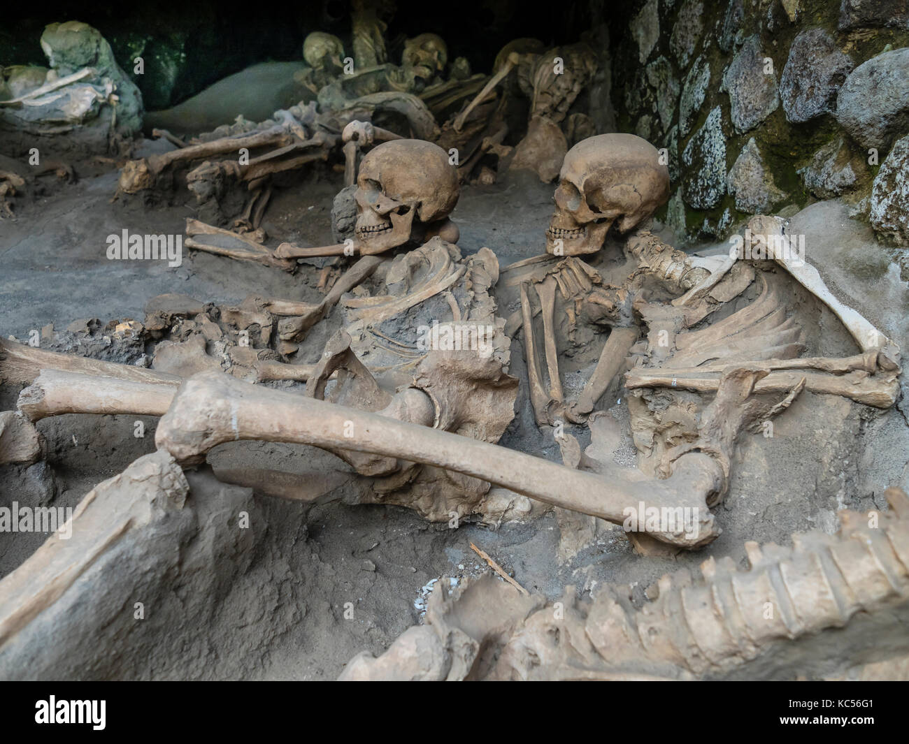Herculanum, le crâne et les squelettes d'éruption volcanique surpris d'habitants, d'excavation, golfe de Naples, Campanie, Italie Banque D'Images