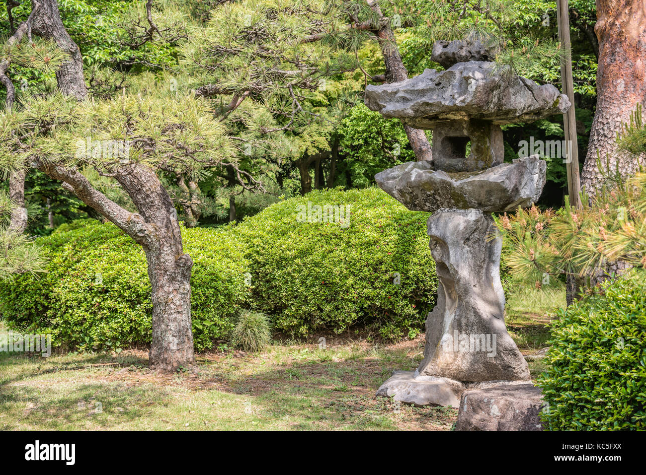 Lanterne en pierre au jardin japonais du jardin national Shinjuku Gyoen, Tokyo, Japon Banque D'Images