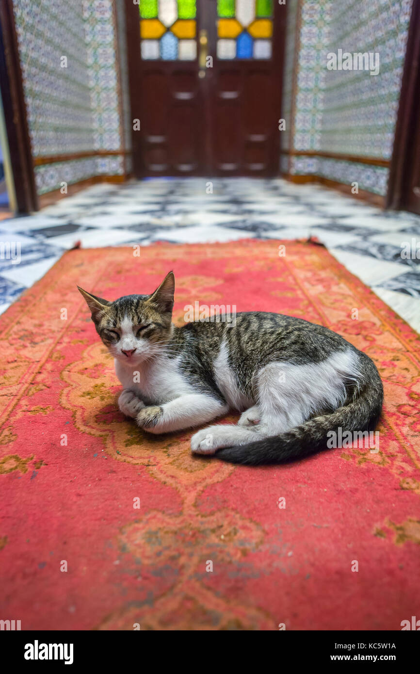 Ryad maroc Banque de photographies et d’images à haute résolution - Alamy