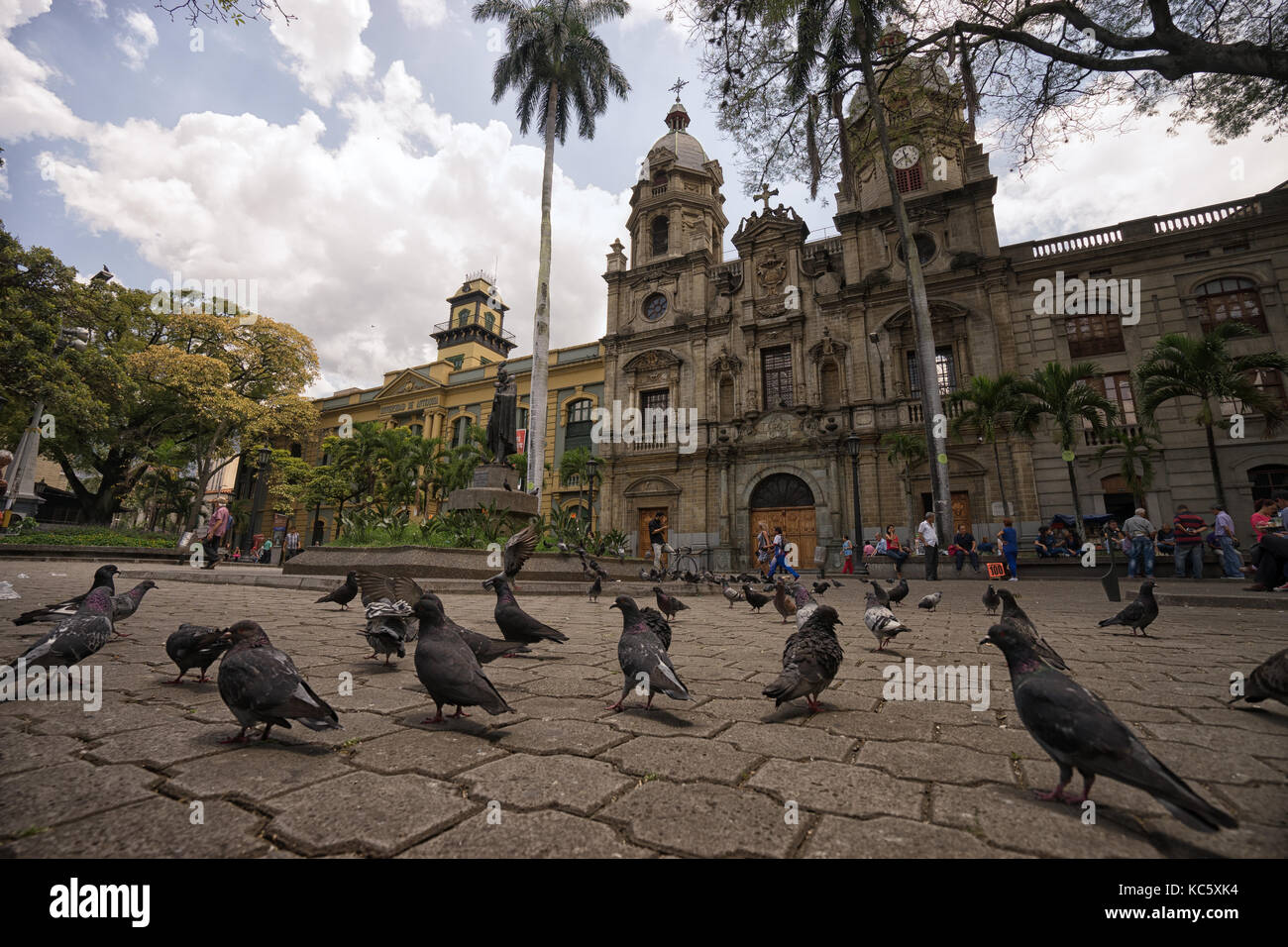 29 septembre 2017 Medellin, Colombie : pigeons à San Ignacio Plaza dans le cndelaria la superficie de la ville Banque D'Images
