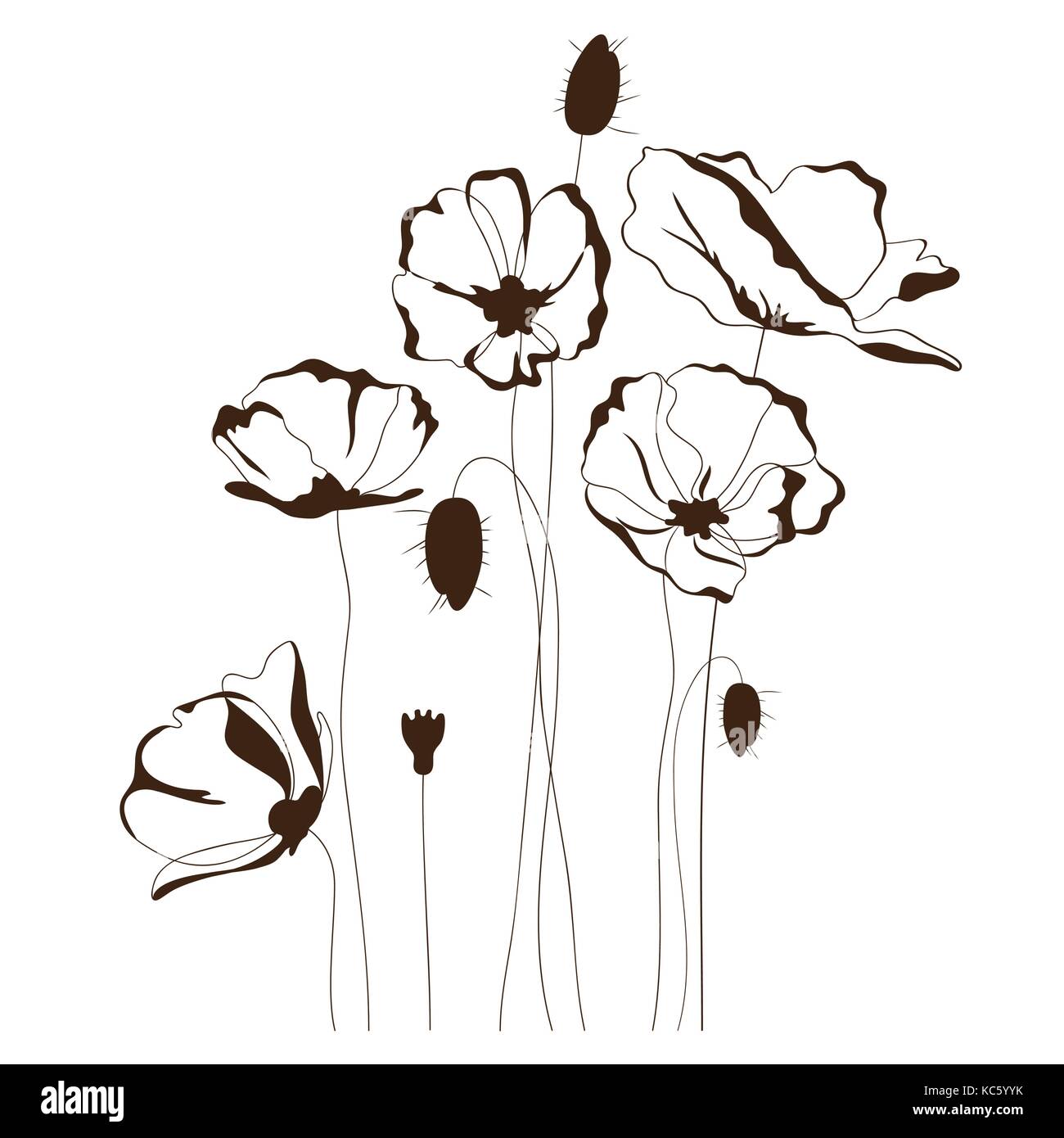 La conception du pavot, floral background Illustration de Vecteur