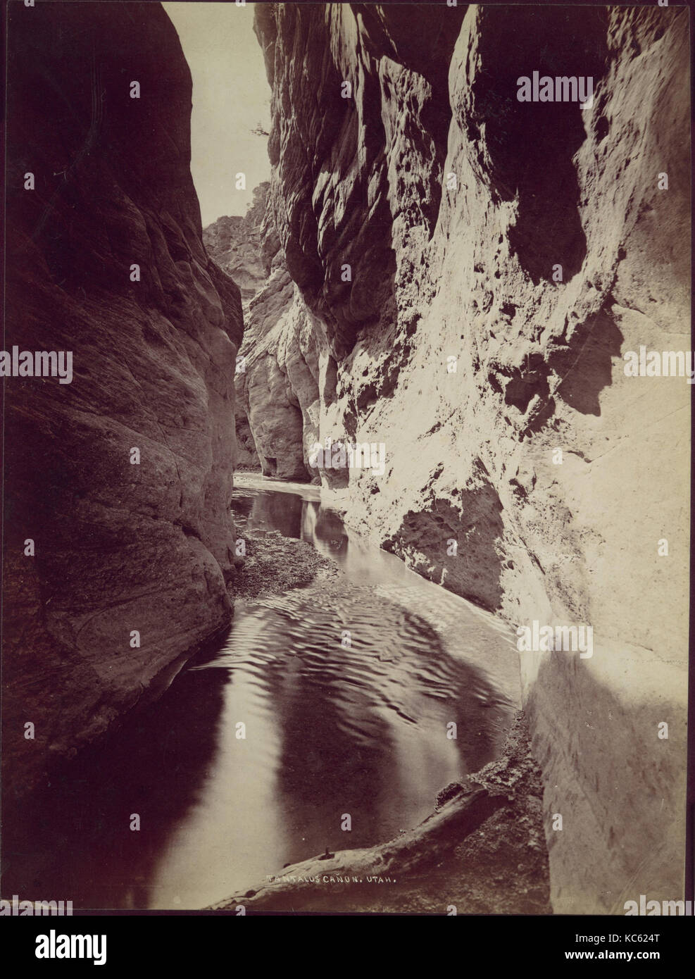 Canyon, Utah, Tantalus années 1870, à l'albumine argentique de négatif sur verre, photographies, William Henry Jackson (American, 1843-1942 Banque D'Images