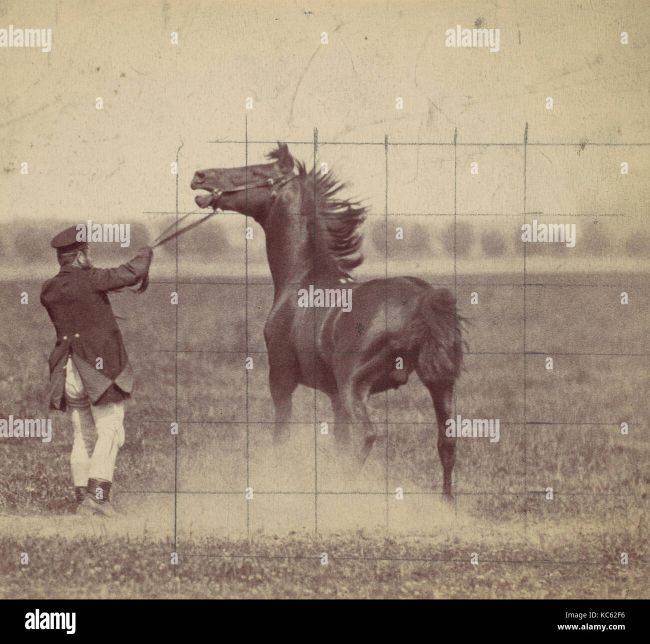 Cheval, 1884, à l'albumine argentique Ottomar Anschütz, photographies, (allemand, Lissa (Leszno, Pologne) 1846-1907 Berlin), dans la dernière Banque D'Images