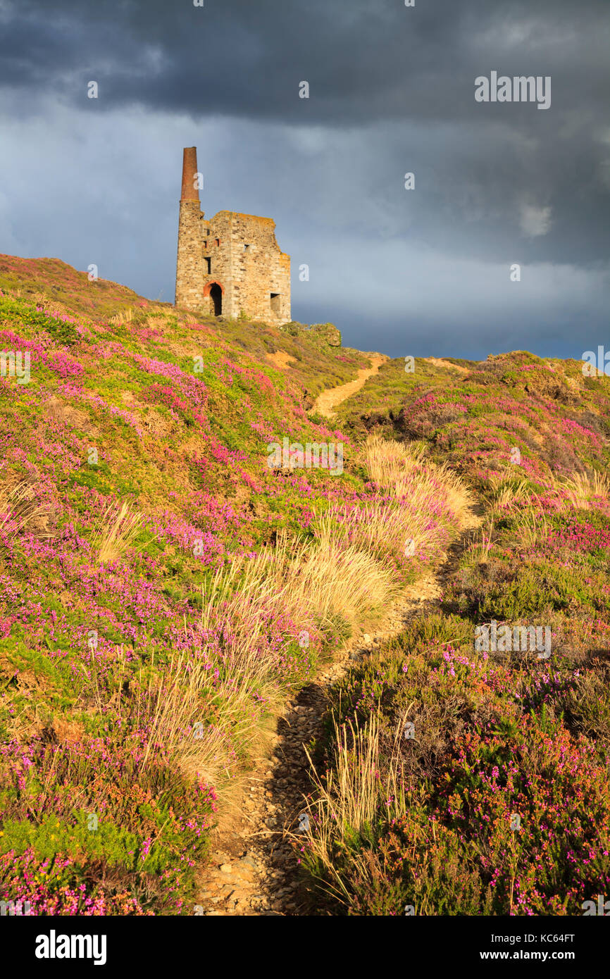 Un cornish engine house près de porthtowan à Cornwall. Banque D'Images