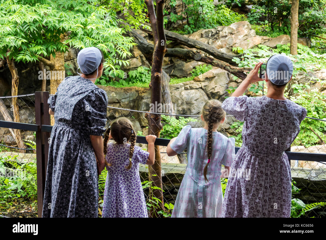 Washington DC,National Zoo,Giant Panda,exposition collection Mennonite,famille parents parents enfants,traditionnel robe,mère, Banque D'Images