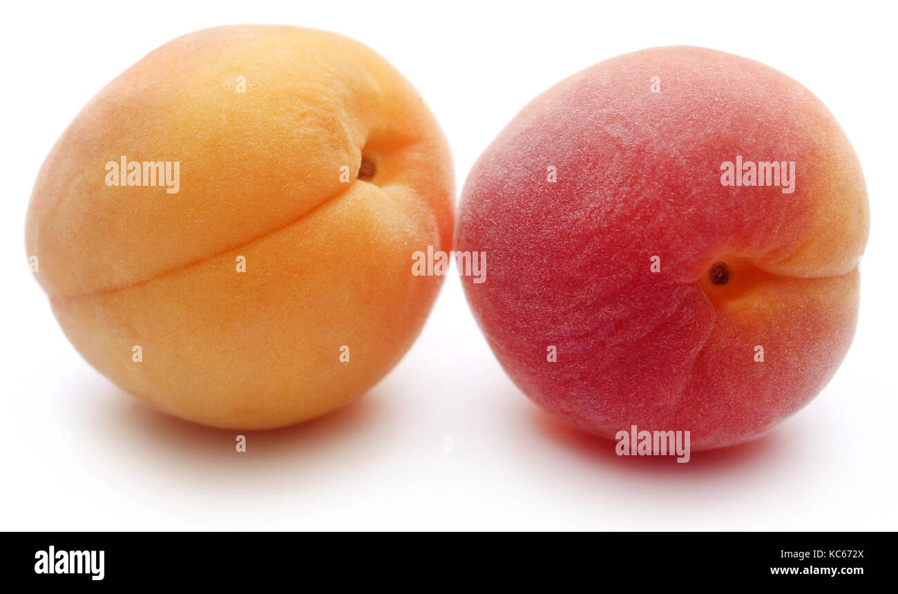 Abricots frais sur fond blanc Banque D'Images