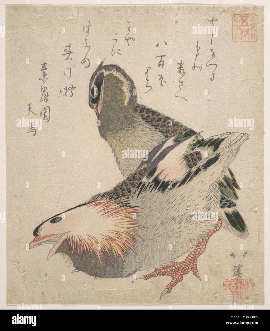 Deux oiseaux, de la période Edo (1615-1868), le Japon, l'estampe Polychrome (surimono) ; l'encre et couleur sur papier, 8 1/4 x 7 1/8 in. (21 Banque D'Images