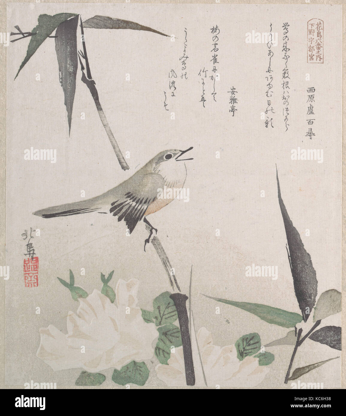 Roses et de bambou avec Nightingale, Teisai Hokuba, 19e siècle Banque D'Images