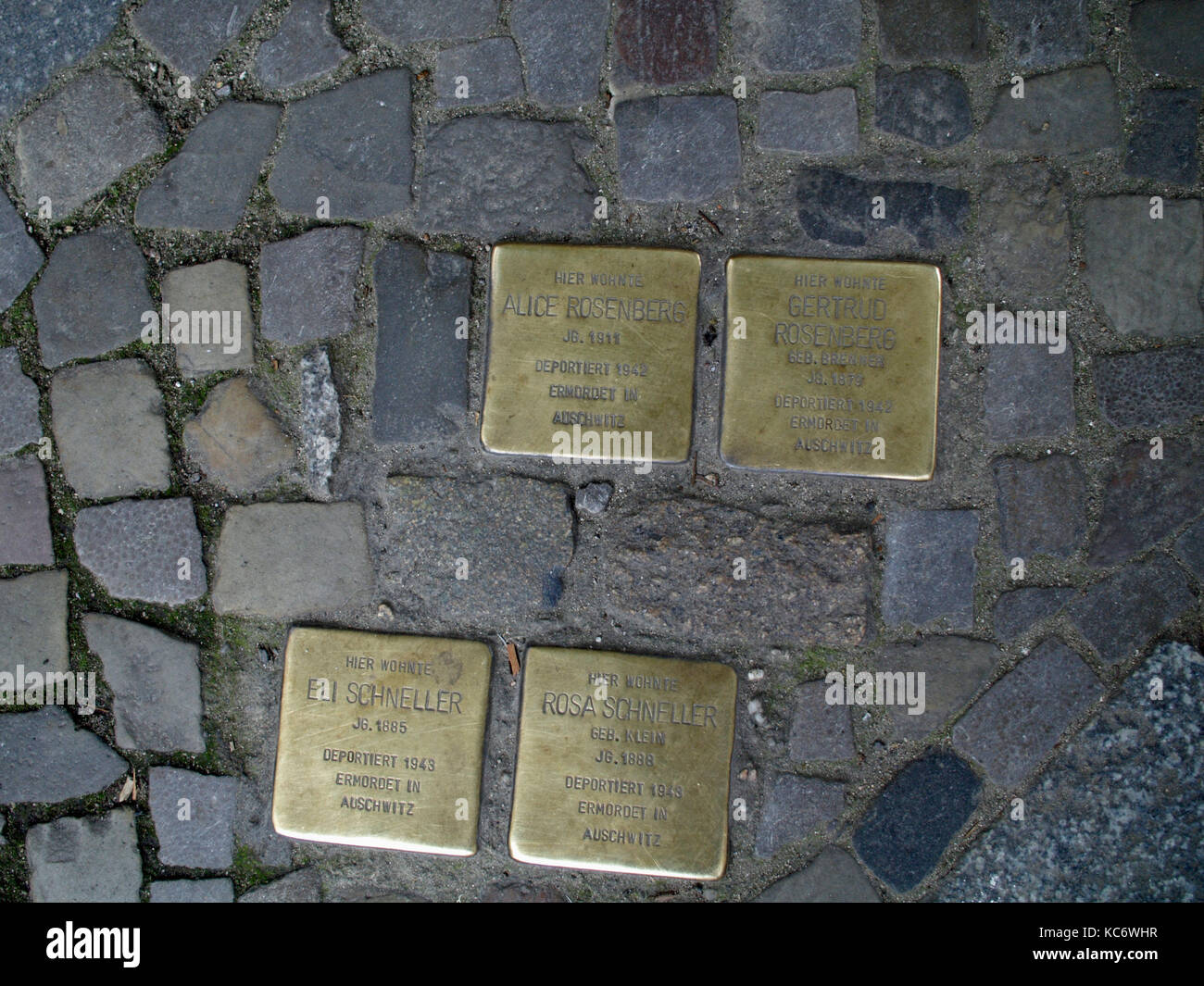 BERLIN ALLEMAGNE - PLAQUES AU SOL DE JUIFS DEPORTES DANS LES CAMPS - LA RUE BERLIN - victimes des nazis - SOUVENIR DES VICTIMES © Frédéric Beaumont Banque D'Images