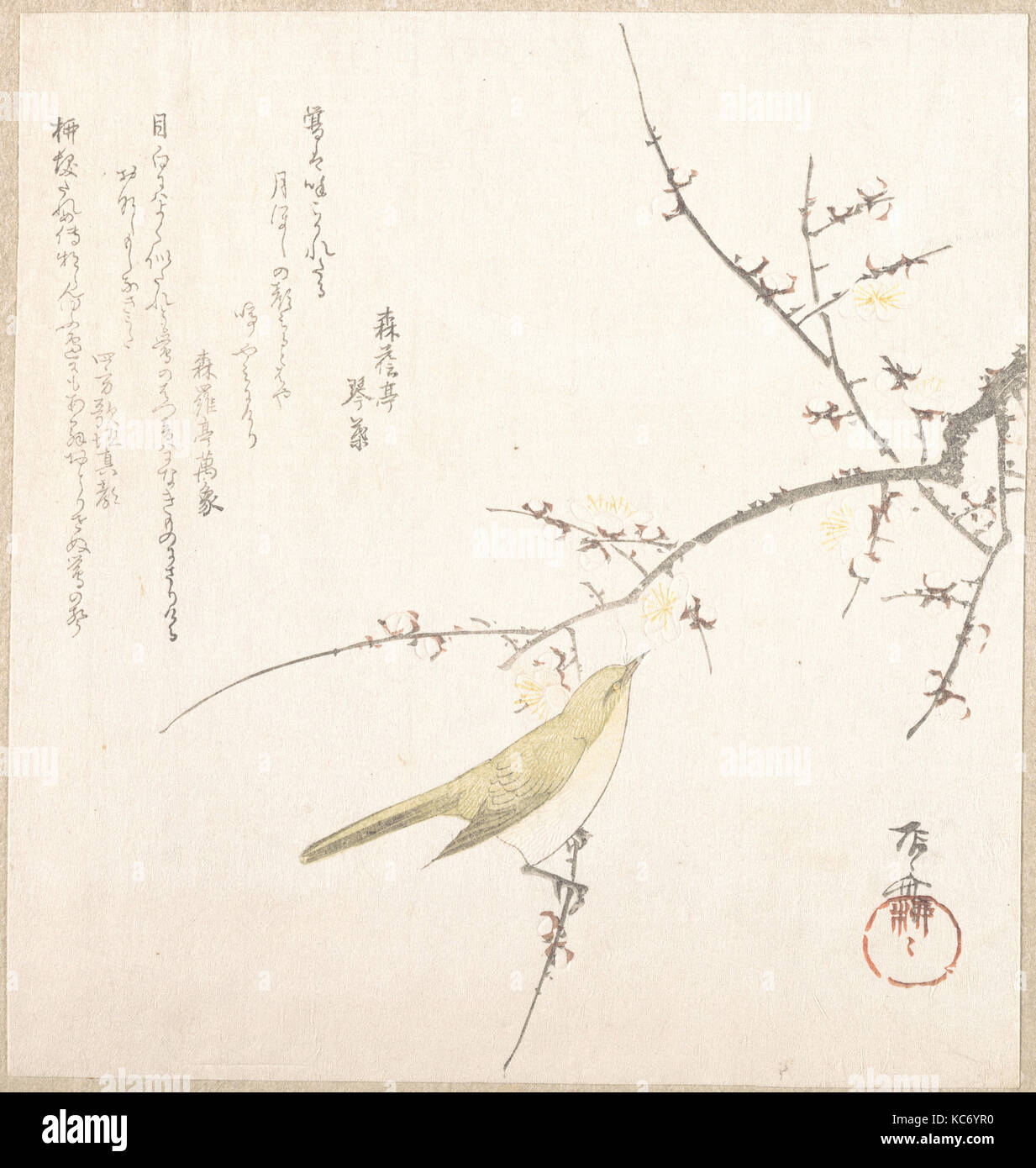 Nouvelle Lune ; Rossignol sur une branche de pruniers, Ryūryūkyo Shinsai, 19e siècle Banque D'Images