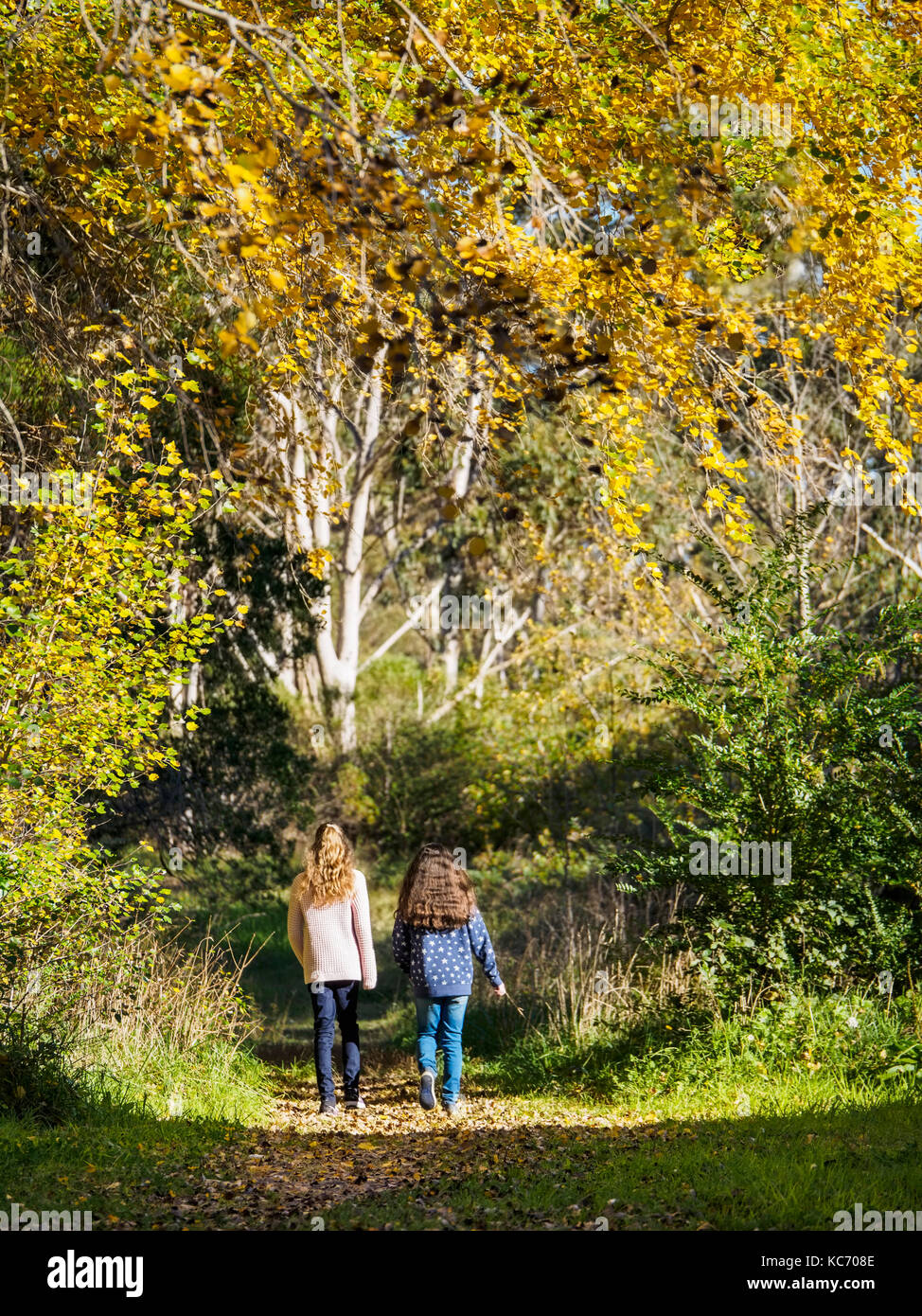 L'Australie, dans le Queensland, les filles (10-11, 12-13) La marche sur sentier à l'automne Banque D'Images