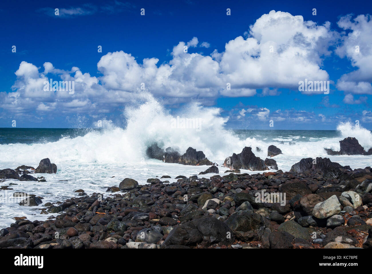 Côte Rocheuse et puissant de surf à Laupahoehoe Point Park, Laupahoehoe, Big Island, Hawaii USA Banque D'Images