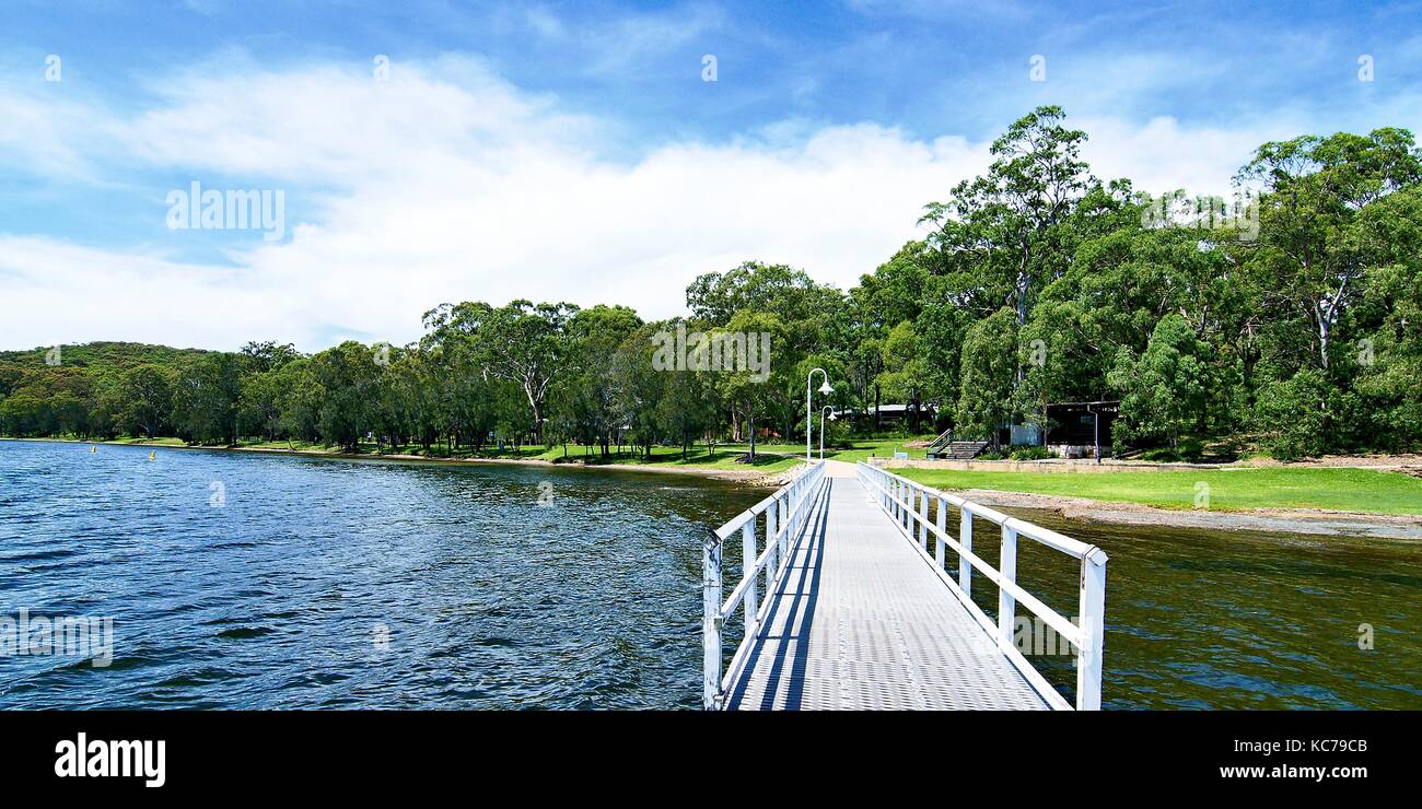 Paysage au bord de l'eau avec une jetée, ciel bleu, nuage blanc et un arbre constellé horizon sur l'eau. lake Macquarie, côte centrale de la Nouvelle-Galles du Sud. Banque D'Images