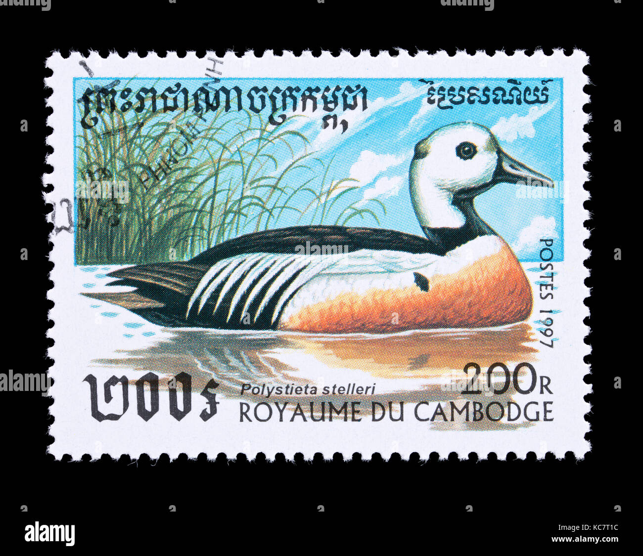 Timbre-poste représentant du Cambodge'eider de Steller (Polysticta stelleri) Banque D'Images