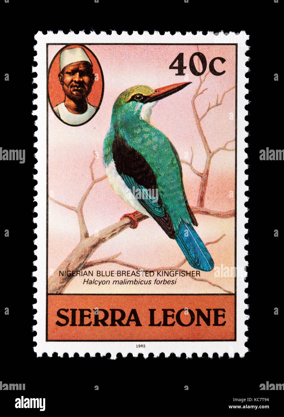 Timbre-poste à partir de la Sierra Leone, illustrant une Paruline bleue (Kingfisher Halcyon malimbicus) Banque D'Images