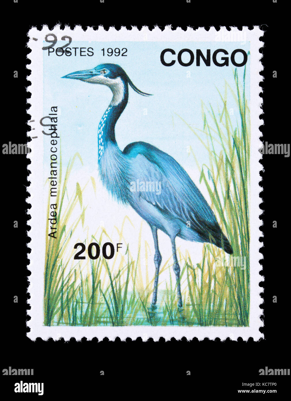 Timbre-poste de Congo représentant un héron à tête noire (Ardea melanocephala) Banque D'Images