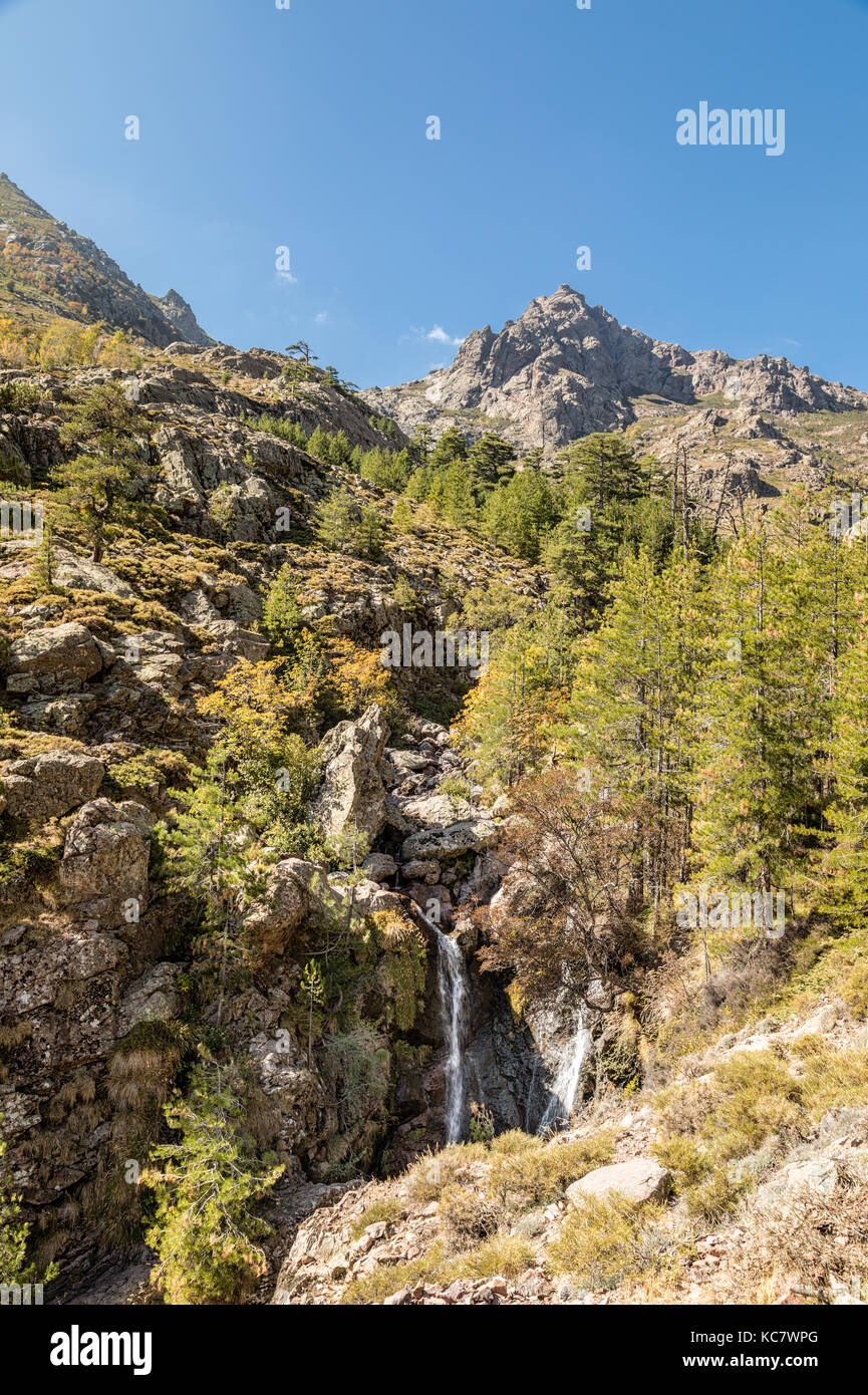 Cascade Cascade Sur Des Rochers Dans Une Piscine Peu