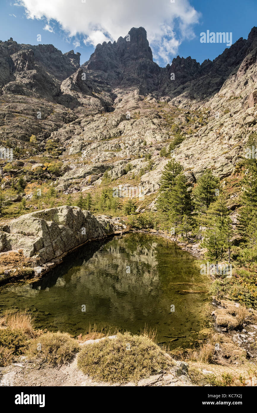 Petit lac à Paglia Orba entourée de rochers, de pins et de montagnes près de la gr20 sentier de randonnée dans le centre de la corse Banque D'Images