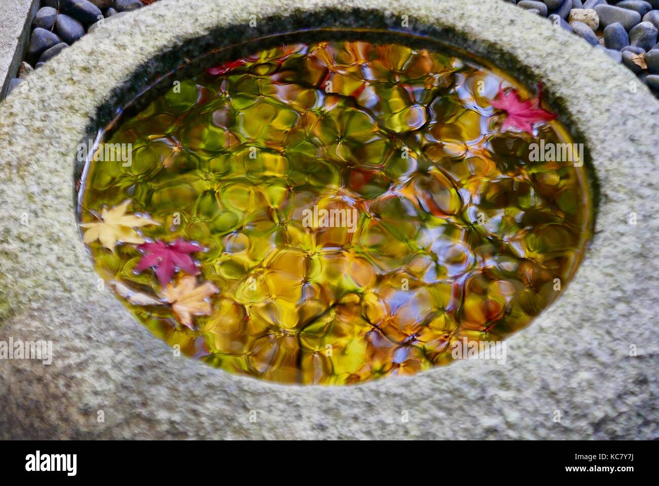 La réflexion de l'automne dans un bol d'eau Banque D'Images