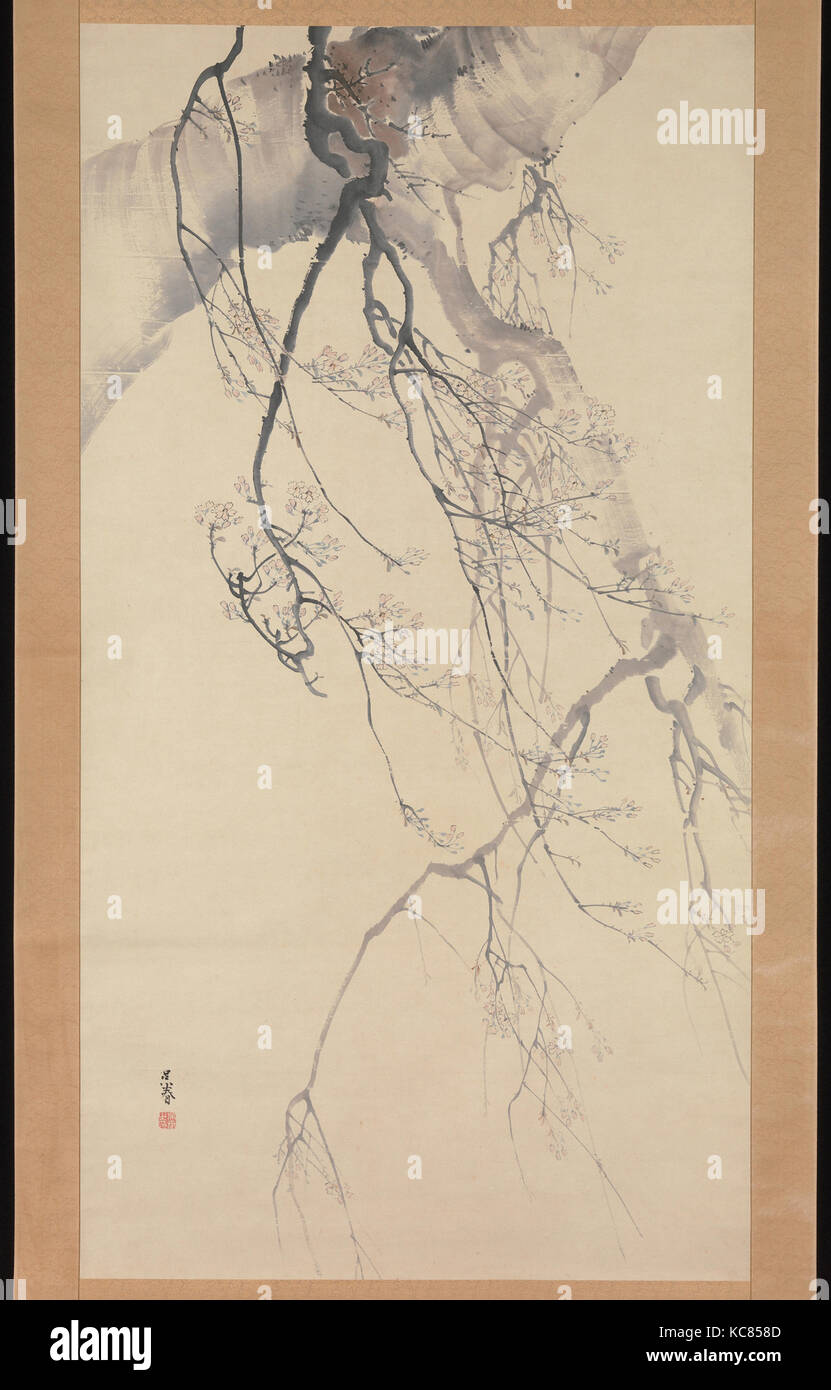 Les fleurs de cerisier, de la période Edo (1615-1868), 18e siècle, le Japon, la pendaison d'encre ; faites défiler et couleur sur papier, 69 x 36 7/8 in. (175,2 x 9 Banque D'Images