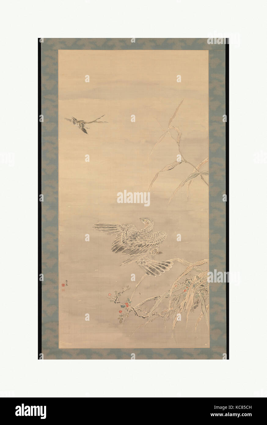 Hawk tenant un petit oiseau, Tsubaki Chinzan, 19e siècle Banque D'Images