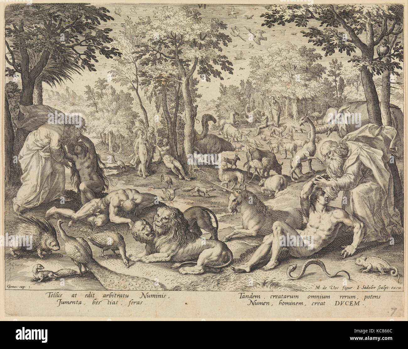 Le sixième jour : la création d'animaux, Adam et Eve à partir de la création du monde, Johann Sadeler I, fin du 16e siècle Banque D'Images