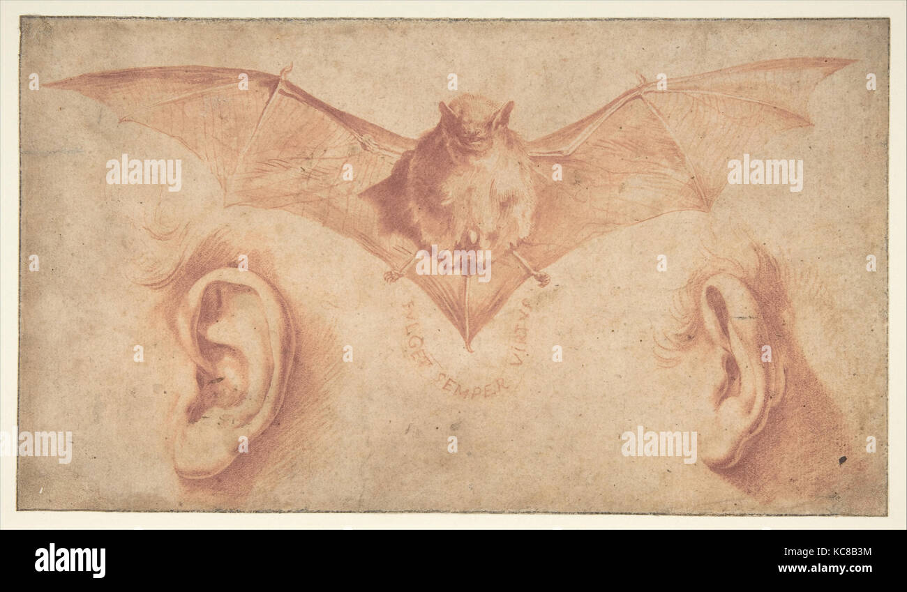 L'étude de deux oreilles et d'une chauve-souris. Ci-dessous, la devise : FULGET VIRTUS SEMPER, Jusepe DE RIBERA, 1591-1652 Banque D'Images