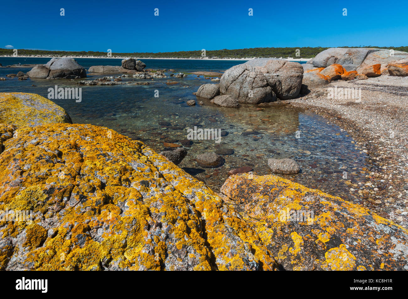 Lichens colorés sur les rochers à Fishermans Point dans la Lincoln National Park. Banque D'Images