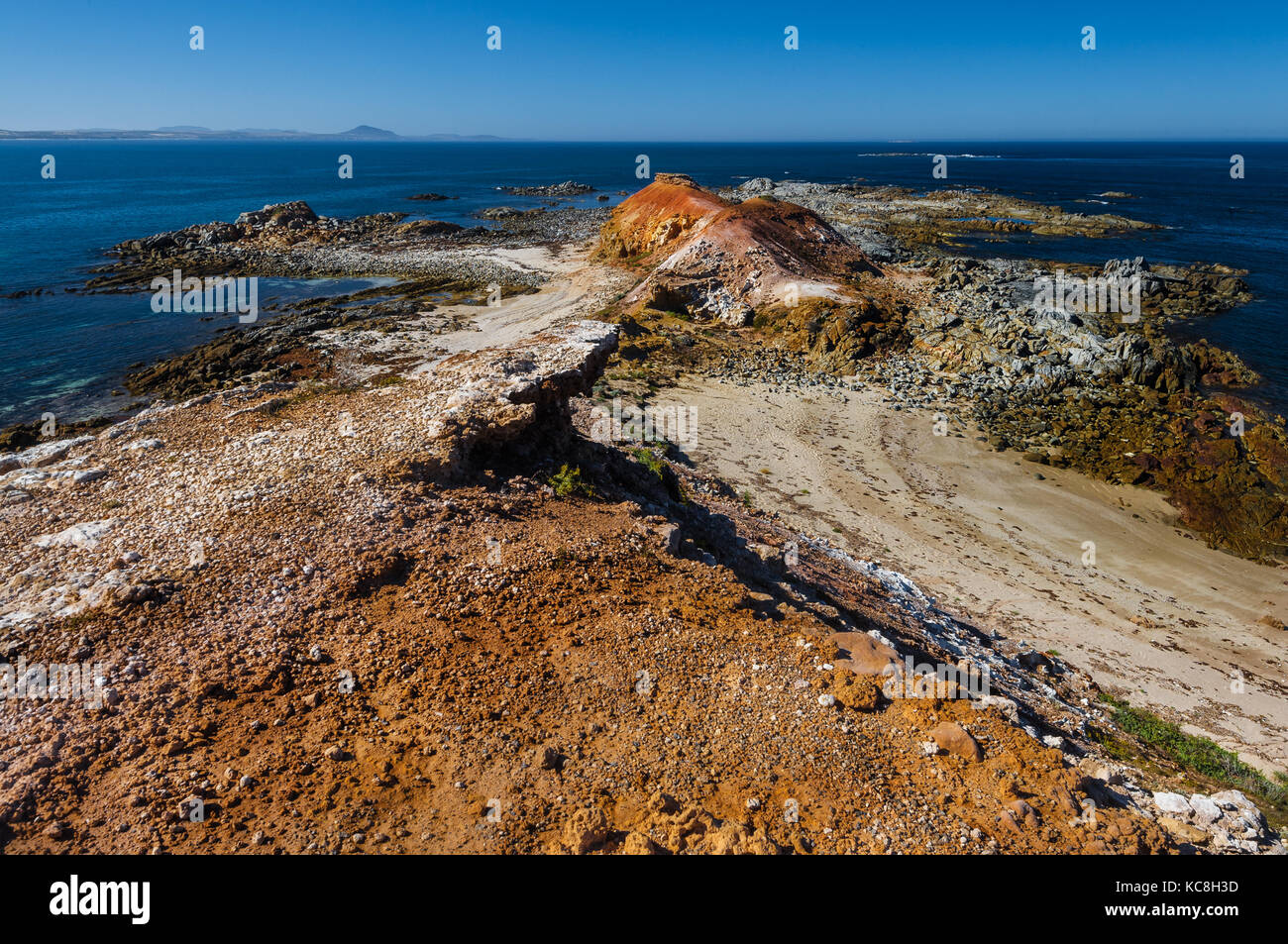 Côte au point Drummond sur la péninsule d'Eyre. Banque D'Images