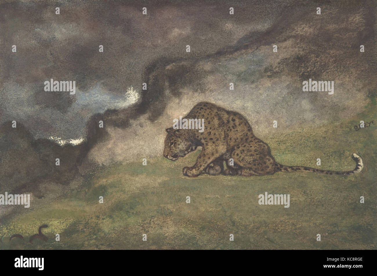 Leopard Regarder Serpent, Antoine-Louis Barye, 1810-75 Banque D'Images