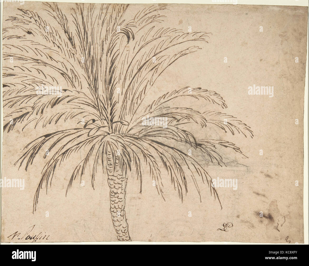 Étude d'un palmier (recto) ; Paysage de montagne (verso), Nicolas Poussin, ca. 1635-40 Banque D'Images