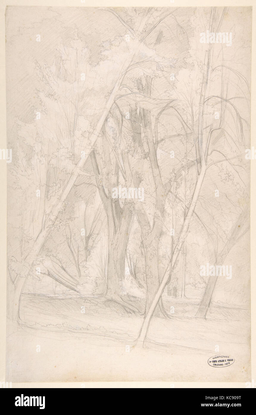 L'intérieur des forêts, Henri-Joseph Harpignies, 1835-1916 Banque D'Images