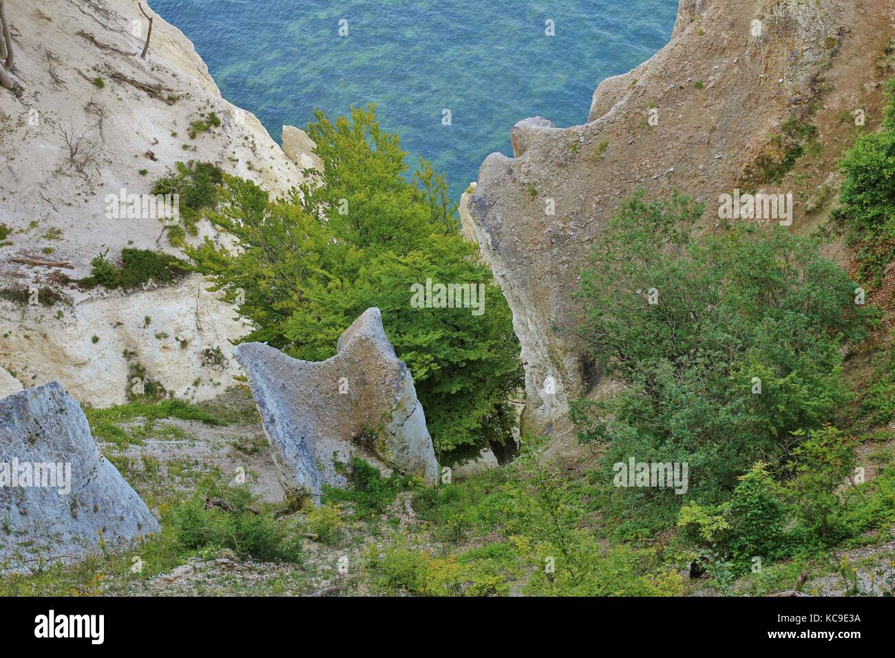 Paysage unique en Nouvelle-Zélande, au Danemark. moens klint. Banque D'Images