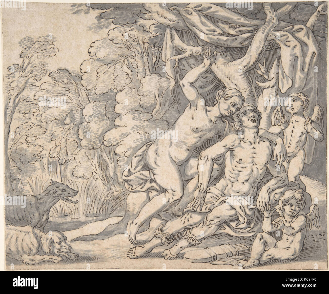 La mort d'Adonis, ca. 1625, plume et encre noire, brosse et gray de lavage. Ligne d'encadrement à la plume et encre noire., feuille : 7 1/2 x 9 in Banque D'Images