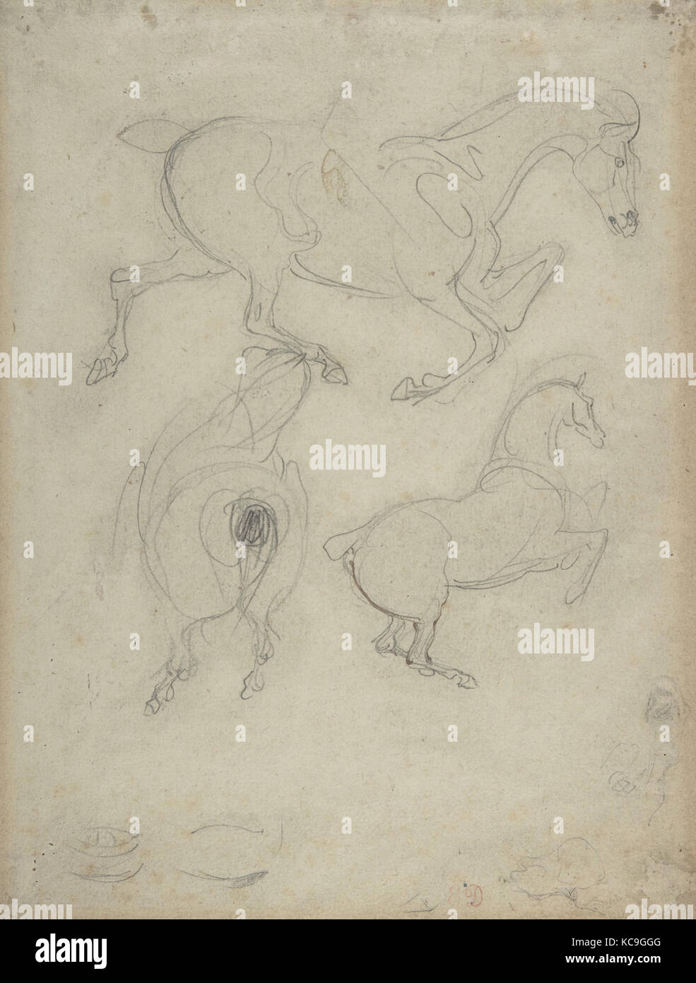 L'étude des chevaux, de graphite et de traces d'encre brune sur papier vergé, 10-3/8 x 7-7/8 in. (26,4 x 20,0 cm), dessins, Eugène Banque D'Images