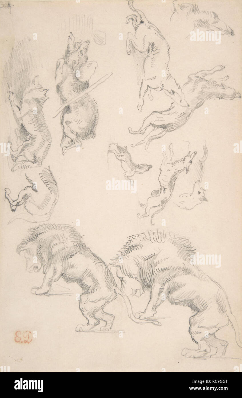 Études d'animaux, 1810-63, graphite sur papier vélin, 8-3/16 x 5-3/8 in. (20,8 x 13,7 cm), dessins, Eugène Delacroix (Français Banque D'Images