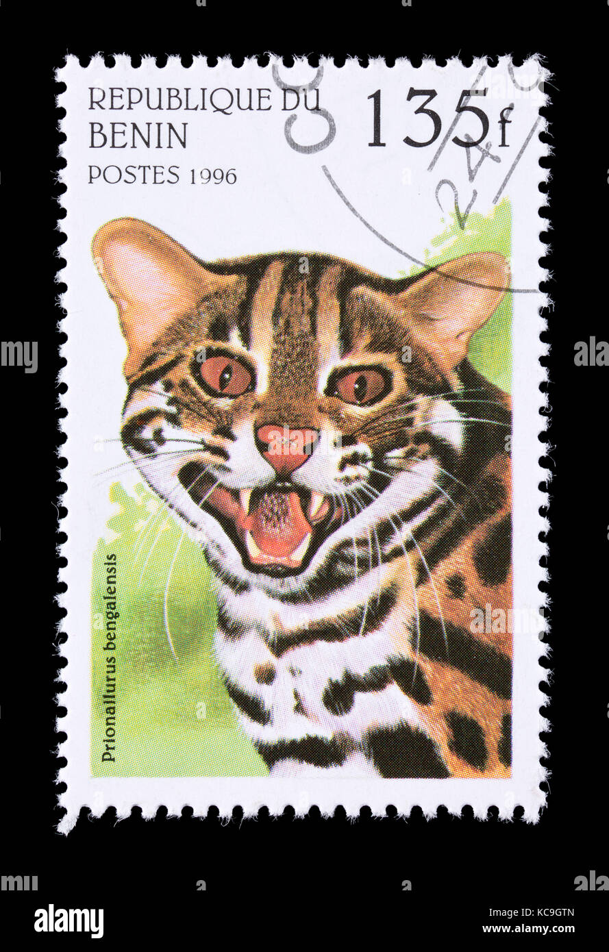 Timbre-poste du Bénin représentant un chat-léopard (Prionailurus bengalensis) Banque D'Images