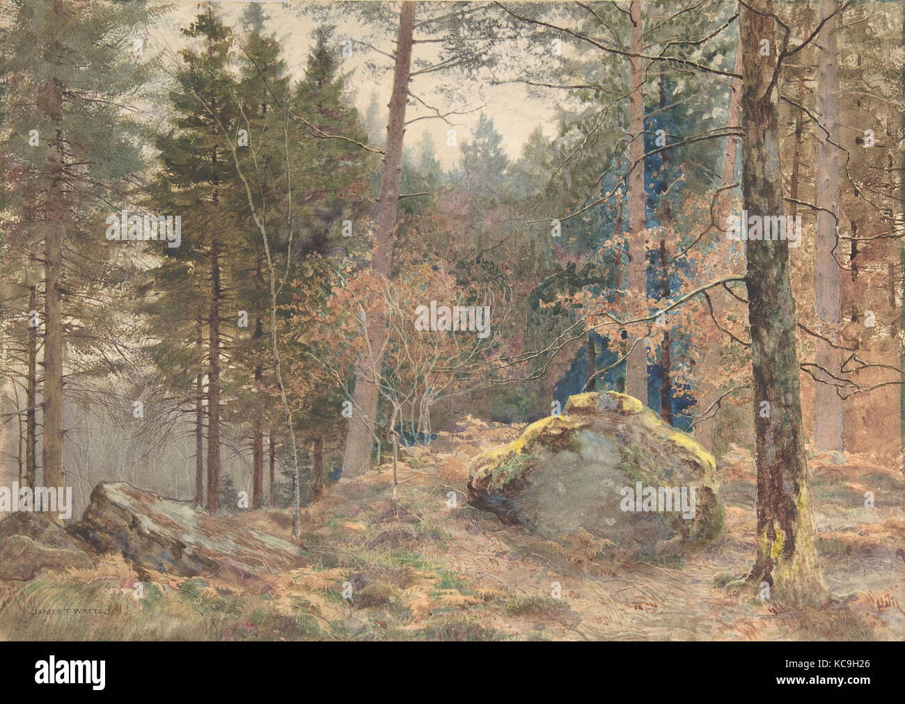 Dans un bois de pin, ca. 1891 Aquarelle sur mine de plomb sur papier, 9 7/8 x 13 3/4 in. (25,1 x 34,9 cm), dessins, James Thomas Banque D'Images