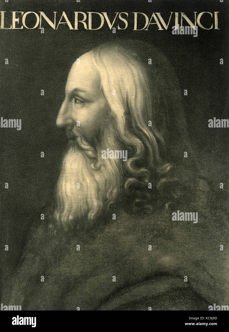 Léonard de Vinci, portrait Banque D'Images