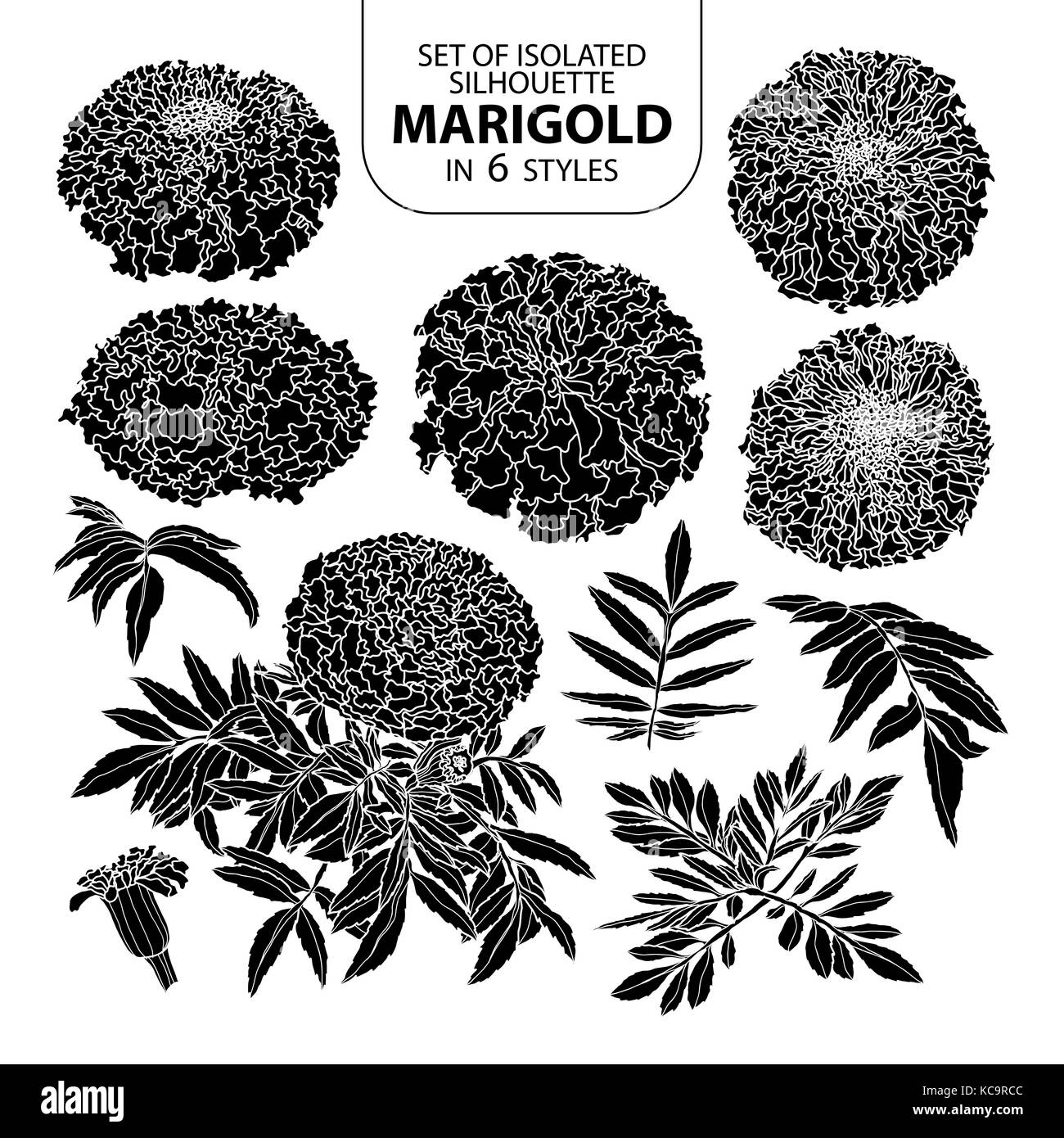 Ensemble de silhouette isolée dans 6 styles de souci. cute hand drawn vector illustration à contour blanc et noir plane sur fond blanc. Illustration de Vecteur