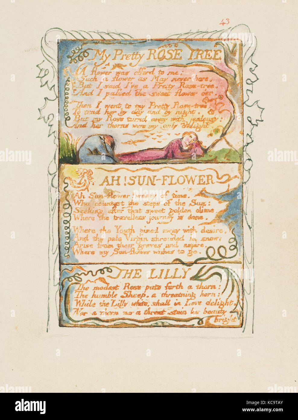Chansons d'innocence et d'expérience : ma jolie rose Tree, Ah ! Sun-Flower, le lis, William Blake, ca. 1825 Banque D'Images