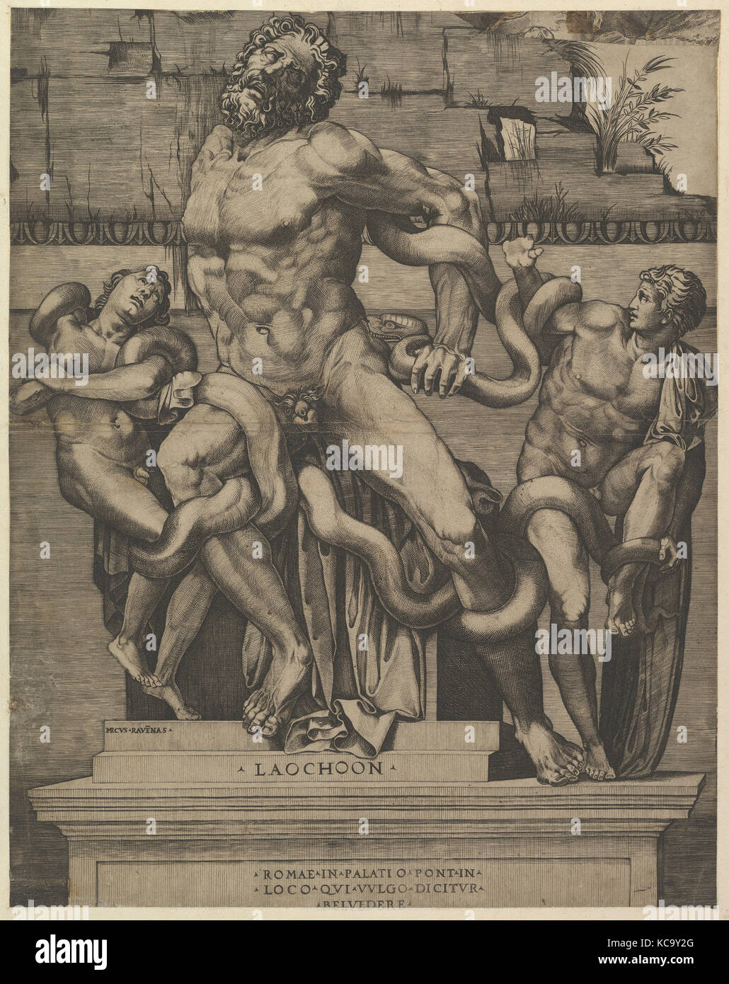 Speculum Romanae Magnificentiae : Laocoon, Marco dente, 16e siècle Banque D'Images