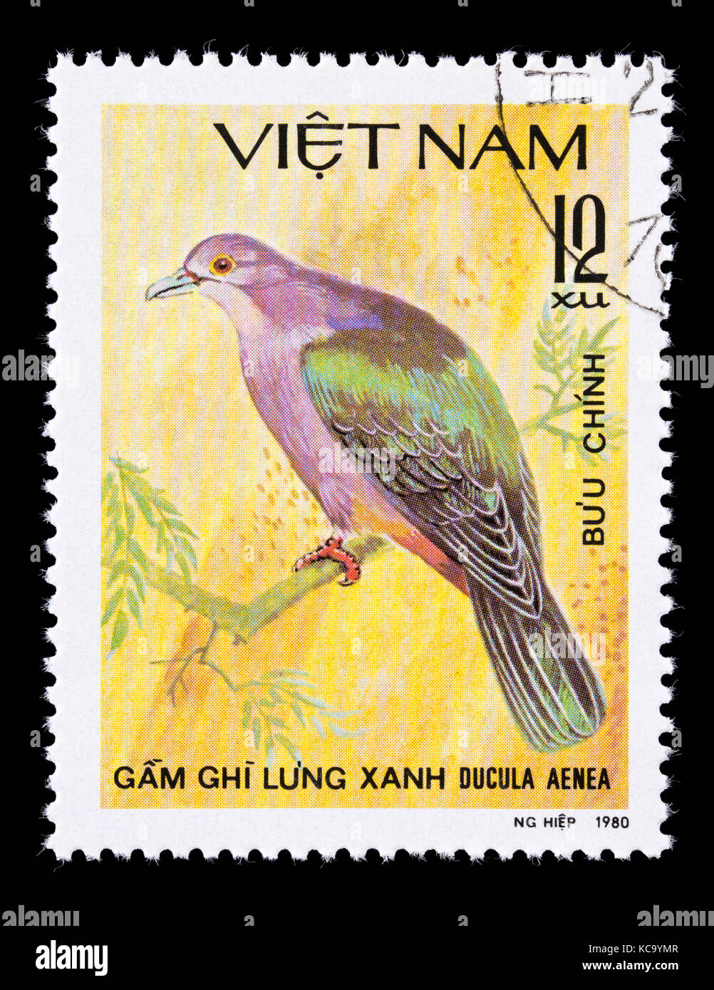 Timbre-poste du Vietnam représentant un pigeon impérial vert (Ducula aenea) Banque D'Images