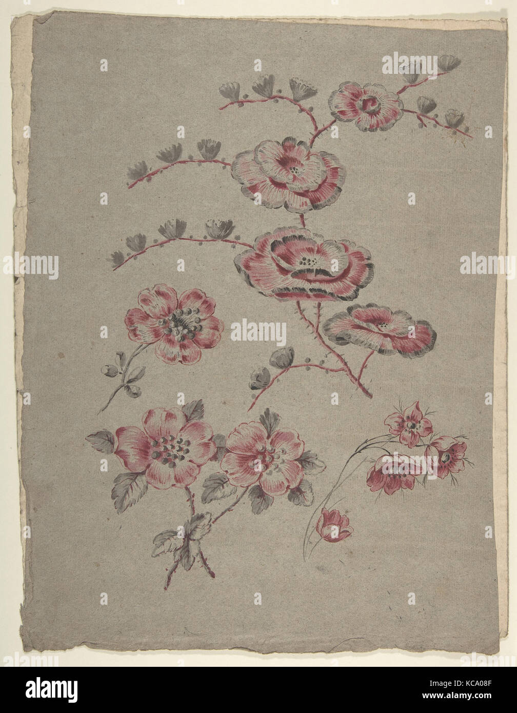 Motif à fleurs rose, anonyme, le français, 19e siècle, 19e siècle Banque D'Images