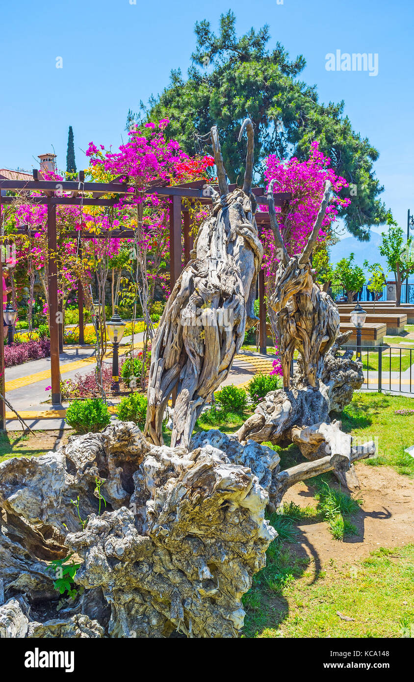 Antalya, Turquie - 12 mai 2017 : l'installation en bois des combats des bouquetins décore le jardin de mermerli à Kaleici district, le 12 mai à Antalya. Banque D'Images